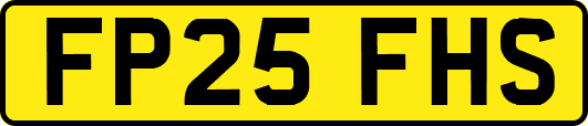 FP25FHS