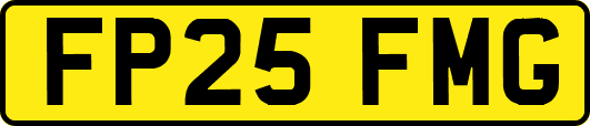 FP25FMG