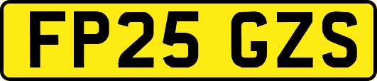 FP25GZS