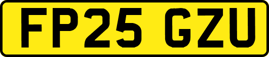 FP25GZU