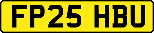 FP25HBU