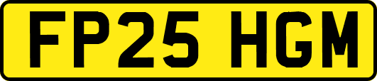 FP25HGM
