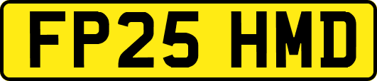 FP25HMD