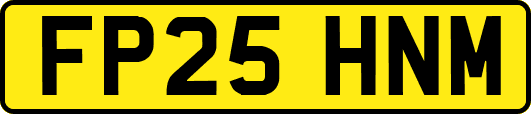 FP25HNM