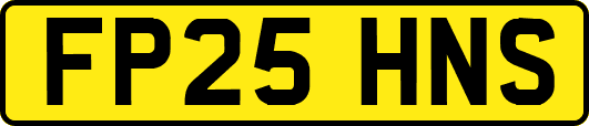 FP25HNS