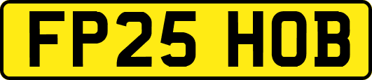FP25HOB