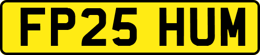 FP25HUM