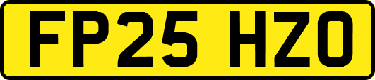 FP25HZO
