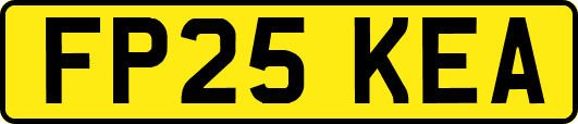 FP25KEA
