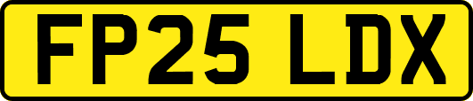 FP25LDX