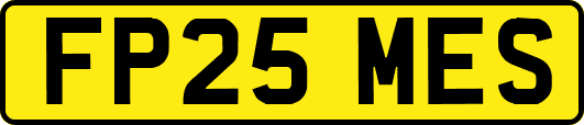 FP25MES