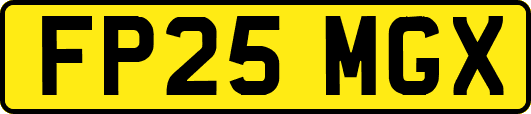 FP25MGX