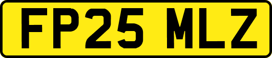 FP25MLZ
