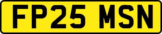 FP25MSN