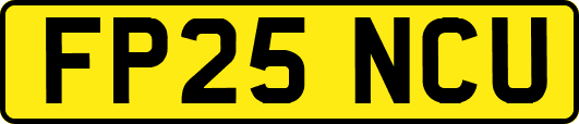 FP25NCU