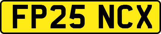FP25NCX