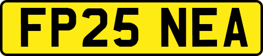 FP25NEA