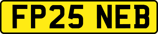 FP25NEB