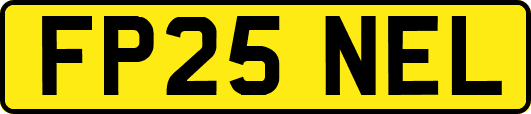 FP25NEL