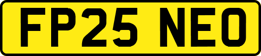 FP25NEO