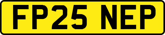 FP25NEP