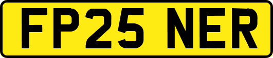FP25NER