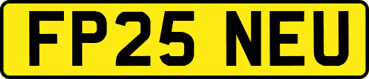 FP25NEU