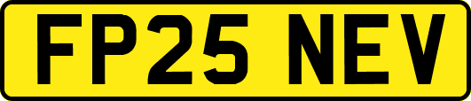 FP25NEV