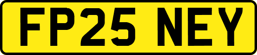 FP25NEY