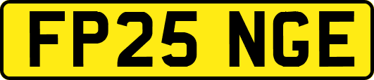 FP25NGE