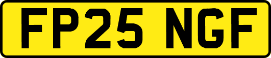 FP25NGF