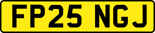 FP25NGJ