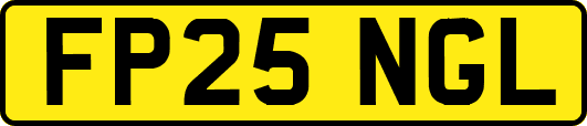 FP25NGL