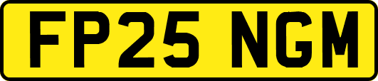 FP25NGM
