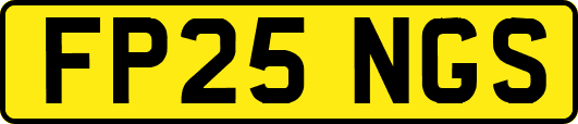 FP25NGS