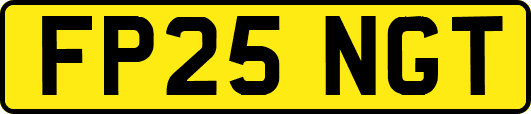 FP25NGT