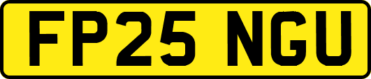 FP25NGU