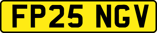 FP25NGV