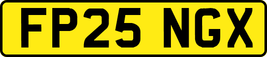 FP25NGX