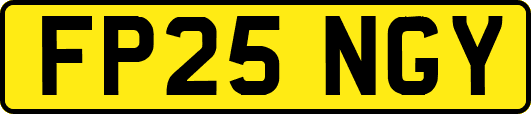 FP25NGY
