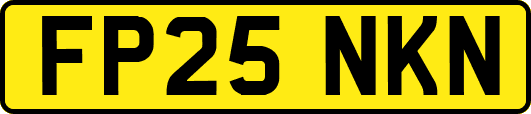 FP25NKN