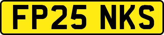 FP25NKS