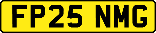 FP25NMG