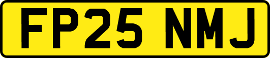 FP25NMJ