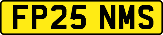 FP25NMS