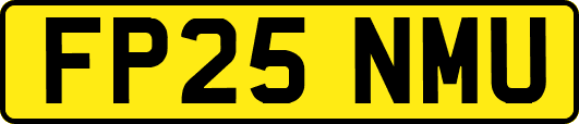 FP25NMU