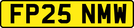 FP25NMW