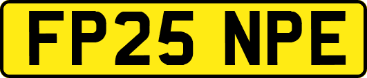 FP25NPE