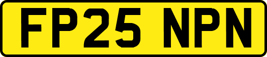 FP25NPN