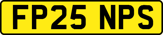 FP25NPS